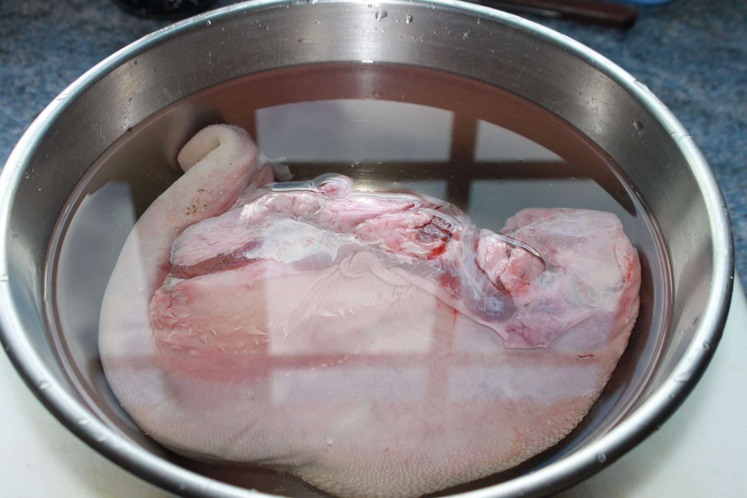 degorgement langue de boeuf